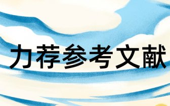 it审计英文参考文献 it审计专著类参考文献哪里找